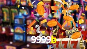 Interface Premium 9999b